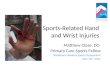 Sports-Related Hand and Wrist Injuries Matthew Close, DO Primary Care Sports Fellow Steadman Hawkins Sports Symposium June 10 th, 2011