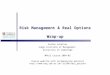 Risk Management & Real Options Wrap-up Stefan Scholtes Judge Institute of Management University of Cambridge MPhil Course 2004-05 Course website with accompanying