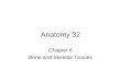 Anatomy 32 Chapter 6 Bone and Skeletal Tissues. I. Cartilage- A versatile connective tissue that supports body structures. Cartilage also lays down the
