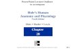 PowerPoint Lecture Outlines to accompany Hole’s Human Anatomy and Physiology Tenth Edition Shier  Butler  Lewis Chapter 20 Copyright © The McGraw-Hill