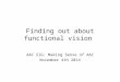 Finding out about functional vision AAC SIG: Making Sense of AAC November 4th 2014