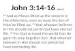 John 3:14-16 (NKJV) 14 And as Moses lifted up the serpent in the wilderness, even so must the Son of Man be lifted up, 15 that whoever believes in Him
