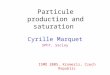 Particule production and saturation Cyrille Marquet SPhT, Saclay ISMD 2005, Kromeriz, Czech Republic