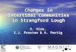 Changes in Intertidal Communities in Strangford Lough S. Vize, S.J. Preston & A. Portig