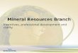Mineral Resources Branch Incentives, professional development and clarity