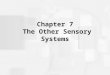 Chapter 7 The Other Sensory Systems. Audition: The Sense of Hearing Physical stimulus: sound waves Sound waves are periodic compressions of air, water