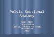 1 Pelvis Sectional Anatomy Radt 2272 Tanya Nolan Special Thanks to Terri Jurkiewicz 2012