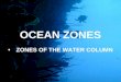 OCEAN ZONES ZONES OF THE WATER COLUMN. So deep in fact that it takes HOURS to free fall to the bottom! The Ocean is much, much deeper than anything on