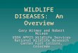 WILDLIFE DISEASES: An Overview Gary Witmer and Robert McLean USDA APHIS Wildlife Services National Wildlife Research Center Fort Collins, Colorado