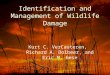 Identification and Management of Wildlife Damage Kurt C. VerCauteren, Richard A. Dolbeer, and Eric M. Gese