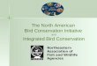 The North American Bird Conservation Initiative and Integrated Bird Conservation Northeastern Association of Fish and Wildlife Agencies