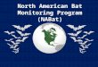 North American Bat Monitoring Program (NABat). Core Team & Supporters Susan Loeb, USFS-SRS Jeremy Coleman, USFWS Laura Ellison, USGS Tom Rodhouse, NPS