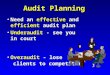 Audit Planning Need an effective and efficient audit planNeed an effective and efficient audit plan Underaudit - see you in courtUnderaudit - see you in