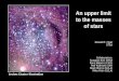An upper limit to the masses of stars Donald F. Figer STScI Collaborators: Sungsoo Kim (KHU) Paco Najarro (CSIC) Rolf Kudritzki (UH) Mark Morris (UCLA)