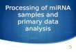 Processing of miRNA samples and primary data analysis