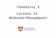 Chemistry 2 Lecture 12 Molecular Photophysics. Electronic states are labelled using their spin multiplicity with singlets having all electron spins paired