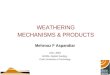 WEATHERING MECHANISMS & PRODUCTS Mehrooz F Aspandiar CRC LEME WASM, Applied Geology, Curtin University of Technology