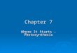 Chapter 7 Where It Starts - Photosynthesis. Photosynthesis - Intro  Photosynthesis – makes food (sugar and other compounds) by  using sunlight as an