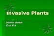 Invasive Plants Monica Vernon Ecol 474. What is an Invasive Plant? An invasive plant species is defined as one that has or is likely to spread and develop