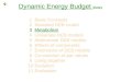 Dynamic Energy Budget theory 1 Basic Concepts 2 Standard DEB model 3 MetabolismMetabolism 4 Univariate DEB models 5 Multivariate DEB models 6 Effects of
