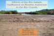 Effects of the Rio Salado Confluence on Benthic Substrate in the Rio Grande Harmony Lu REU Project Summer 2010