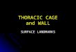 THORACIC CAGE and WALL SURFACE LANDMARKS. Lines of Orientation Refer: Refer: Text:pp 91-92 (91) Syllabus: p 44 Midsternal line Midsternal line Midclavicular