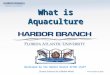 What is Aquaculture Developed by the Harbor Branch ACTED staff