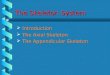 The Skeleton System  Introduction  The Axial Skeleton  The Appendicular Skeleton