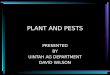 PLANT AND PESTS PRESENTED BY UINTAH AG DEPARTMENT DAVID WILSON