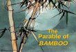 The Parable of BAMBOO The Parable of BAMBOO Once upon a time… in the heart of the Eastern Kingdom lay a beautiful garden