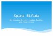 Spina Bifida By Jessica Pitch, Louisa Oualim, and Sean Overa