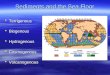 Sediments and the Sea Floor  Terrigenous  Biogenous  Hydrogenous  Cosmogenous  Volcanogenous