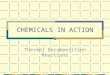 CHEMICALS IN ACTION Thermal Decomposition Reactions