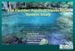 The Floridan Aquifer/Chipola River System Study The Floridan Aquifer/Chipola River System Study Christy Crandall U.S. Geological Survey Tallahassee, Florida