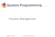 Chapter Fourteen Process Management1 System Programming Process Management