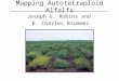 Mapping Autotetraploid Alfalfa Joseph G. Robins and E. Charles Brummer