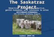The Saskatraz Project Objective: To develop productive, gentle honeybees with tolerance to mites and brood diseases By: Albert J. Robertson SBA Honeybee