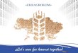 «UKRAGROKOM». «Ukragrokom» - one of the largest companies of the Ukrainian agrarian market Products: Crop-Protection Agents Seeds Aqueous Fertilizers