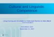 Cultural and Linguistic Competence Using Gaming and Simulation to Understand Barriers to Intercultural Communication AfrICANDO 2007 September 21, 2007