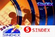 SINDEX SINDEX  Logo SINDEX 5.1 Vision Mission & Objective 5.2 History 5.3 Organisers 5.4 Modus Operandi & Activities 5.5 Flashback