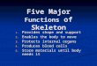 Five Major Functions of Skeleton 1. Provides shape and support 2. Enables the body to move 3. Protects internal organs 4. Produces blood cells 5. Store