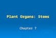 Plant Organs: Stems Chapter 7. LEARNING OBJECTIVE 1 Describe three functions of stems Describe three functions of stems