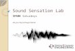 Sound Sensation Lab SPARK Saturdays Hui Jun Tay & Ameya Kamat