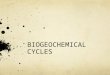 BIOGEOCHEMICAL CYCLES. Law of conservation-atoms atoms neither created or destroyed Same atoms must be passed around again and again CHNOPS make up 98%