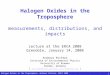 Halogen Oxides in the Troposphere, Andreas Richter, ERCA 2008 1 Halogen Oxides in the Troposphere measurements, distributions, and impacts Lecture at the