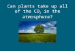 Can plants take up all of the CO 2 in the atmosphere?