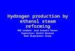 Hydrogen production by ethanol steam reforming PhD student: José Antonio Torres Supervisor: Daniel Montané Wood Biopolymers Group