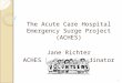 The Acute Care Hospital Emergency Surge Project (ACHES) Jane Richter ACHES Project Coordinator 1