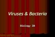 Viruses & Bacteria Biology 20 This Powerpoint is hosted on  Please visit for 1000+ free powerpoints