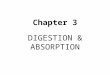 Chapter 3 DIGESTION & ABSORPTION. Digestion Digestion – The process of changing food into simple components which the body can absorb Digestive tract